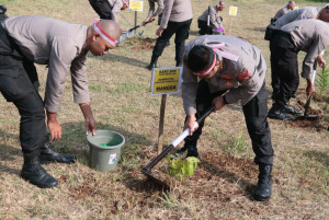 Perbaiki Kualitas Udara,Polda Metro Jaya Tanam 15. Ribu Pohon
