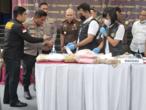 Ribuan Butir Pil Ekstasi dan Ratusan  Kilo Gram Narkoba beragam Jenis Dimusnahkan