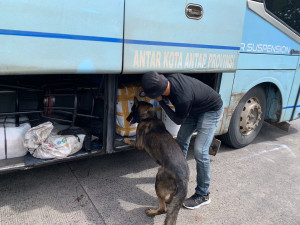 Enam Anjing Pelacak Narkoba Disiagakan di Pelabuhan  Bakauheuni