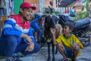 Berbagi Kebahagiaan Pertamina Tebar Ribuan Hewan Kurban