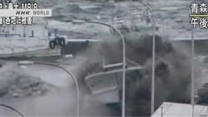 Gempa Megahtrust Menjadi Ancaman Serius dan Mengerikan  Untuk Pelayaran Serta Masyarakat Pesisir