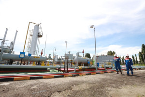  Cetak Kinerja Cemerlang  PHE Capai Produksi Migas 1,046 Juta Barel