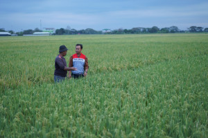 Desa Energi Berdikari Hadir di Indramayu Wujudkan Ketahanan Pangan dan Energi