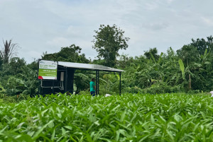 Swasembada Energi Berbasis Desa, Dirut Pertamina Kunjungi Desa Energi Berdikari di Bali