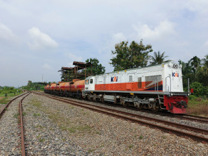 Sepanjang Februari  2025 KAI Mengangkut Hasil Perkebunan 110.558 Ton