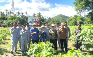 Kepala Bakamla RI Panen Kacang Tanah di Karangasem Bali