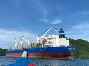 PELNI Shipping Agency dan PLN Jalin Kerja Sama Strategis