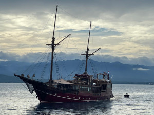 Kapal Pesiar KM. Arenui  Jemput 15 Wisatawn   di Prlabuhan Donggala