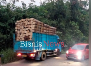 Menhub Tantang Pengusaha Angkutan Mau MST Berapa .....? Korbannya Sudah Banyak 