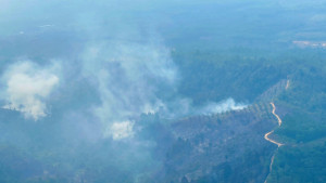 Kebakaran Hutan, Kapolri Pantau Titik Api Via Udara