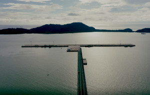 PTP Nonpetikemas- Optimalkan Pelayanannya  di Terminal Kijing 