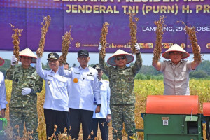Panen Kedelai di Lampung Utara, Panglima TNI :  Indonesia Berpeluang Menjadi Negara Berdaulat Pangan