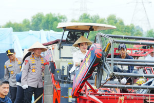 Swasembada Pangan, Kapolri:  Produksi Jagung Capai 3,5 Juta Ton di 2025