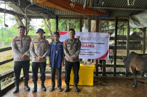 Mahasiswa STIK angkatan 83/WPS Sumbang 70 Ekor Sapi untuk Tradisi Meugang di Aceh