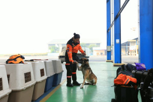 Polri Kembali Kirim Personel K9 dan 2,5 Ton Logistik untuk Korban Gempa NTT