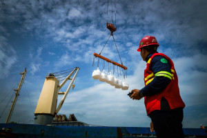 Terminal Kijing Terus Bertumbuh throughput Curah Kering Mencapai 2,37 Juta  Ton